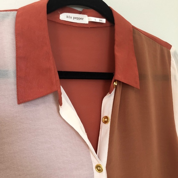 Sheer Color Block Button Down - Picture 3 of 5